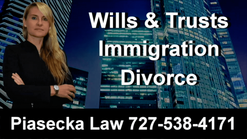 Wills Trusts Immigration Divorce Clearwater Agnieszka Aga Piasecka Law 1