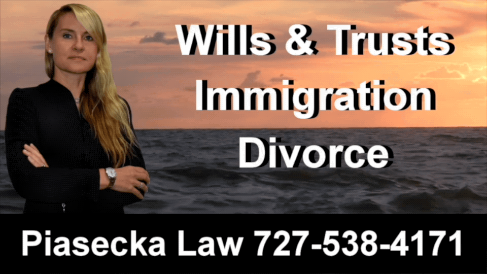 Wills Trusts Immigration Divorce Clearwater Agnieszka Aga Piasecka Law 2