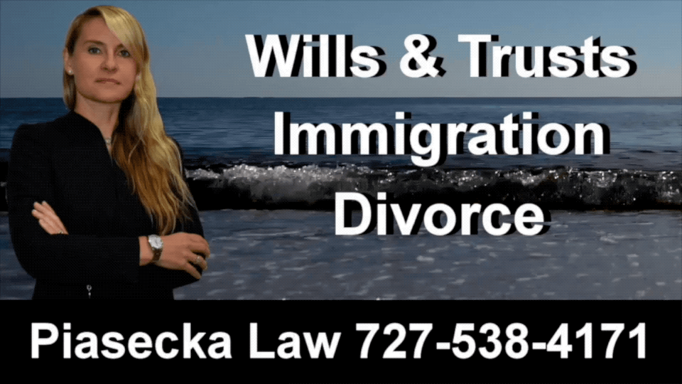 Wills Trusts Immigration Divorce Clearwater Agnieszka Aga Piasecka Law 3